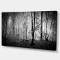 Toile  imprimée « Beautiful Forest Morning Panorama »