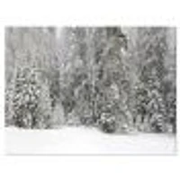 Toile « Foggy Winter Forest Panorama