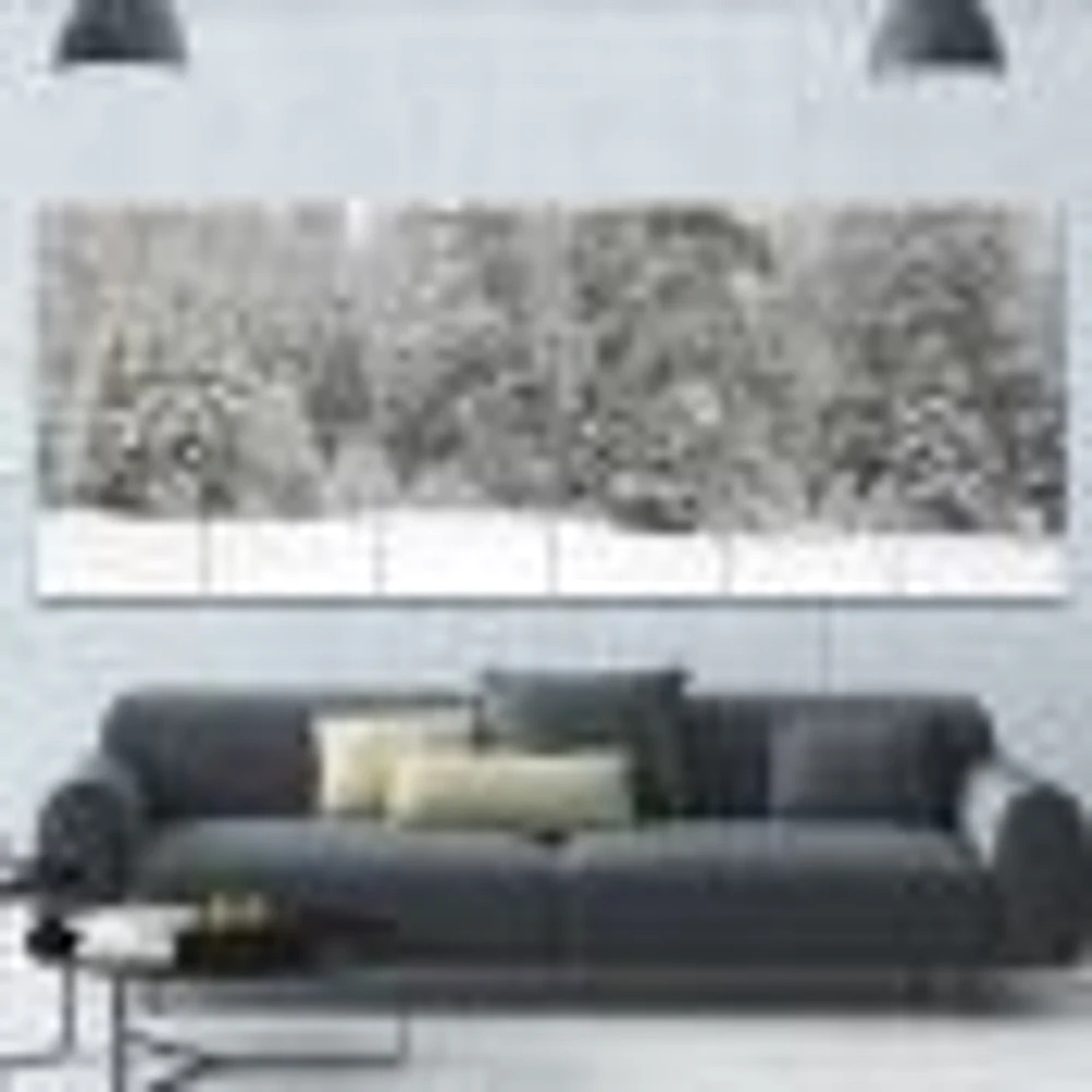 Toile « Foggy Winter Forest Panorama