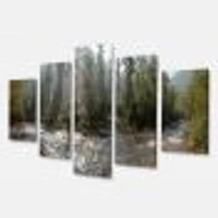 Mountain River Panorama 4 Canvas Wall Art