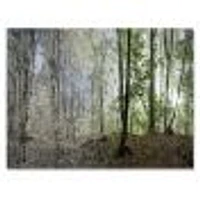 Green Morning Forest Panorama  Canvas Art Print