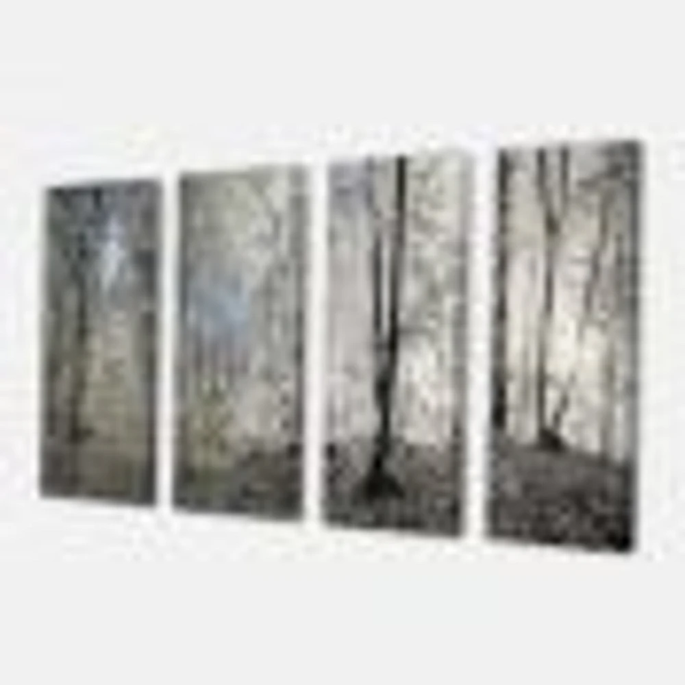 Dark Morning the Forest 4 Canvas Wall Art