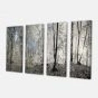 Dark Morning the Forest 4 Canvas Wall Art