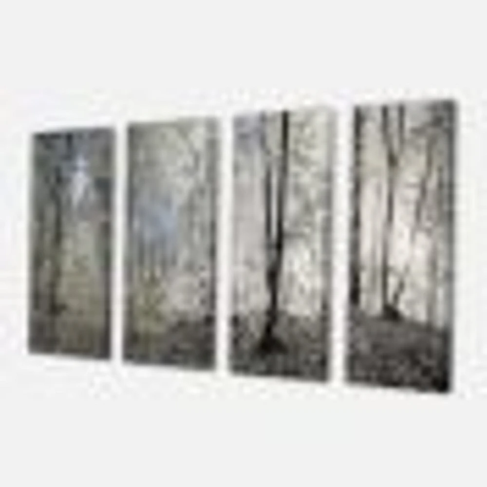 Dark Morning the Forest 4 Canvas Wall Art