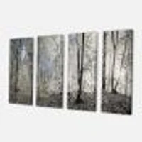 Dark Morning the Forest 4 Canvas Wall Art