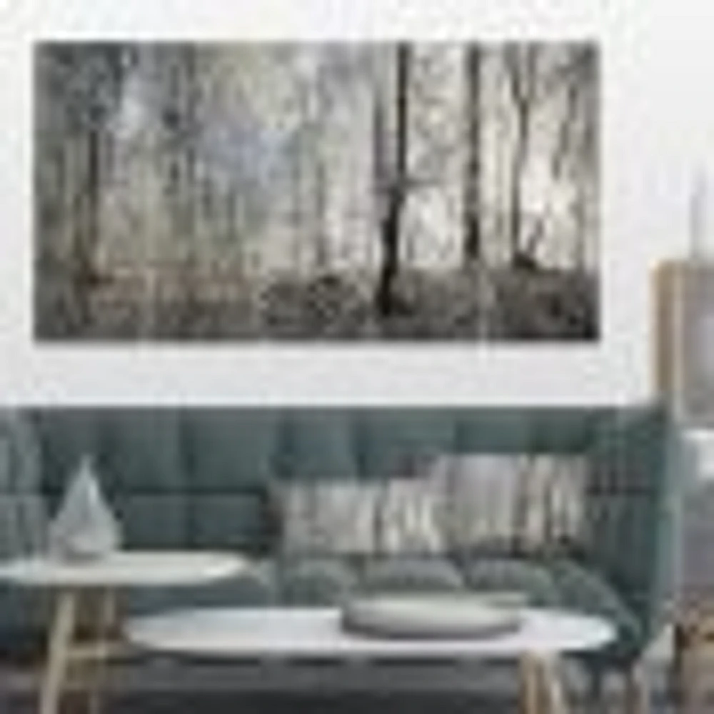 Dark Morning the Forest 4 Canvas Wall Art