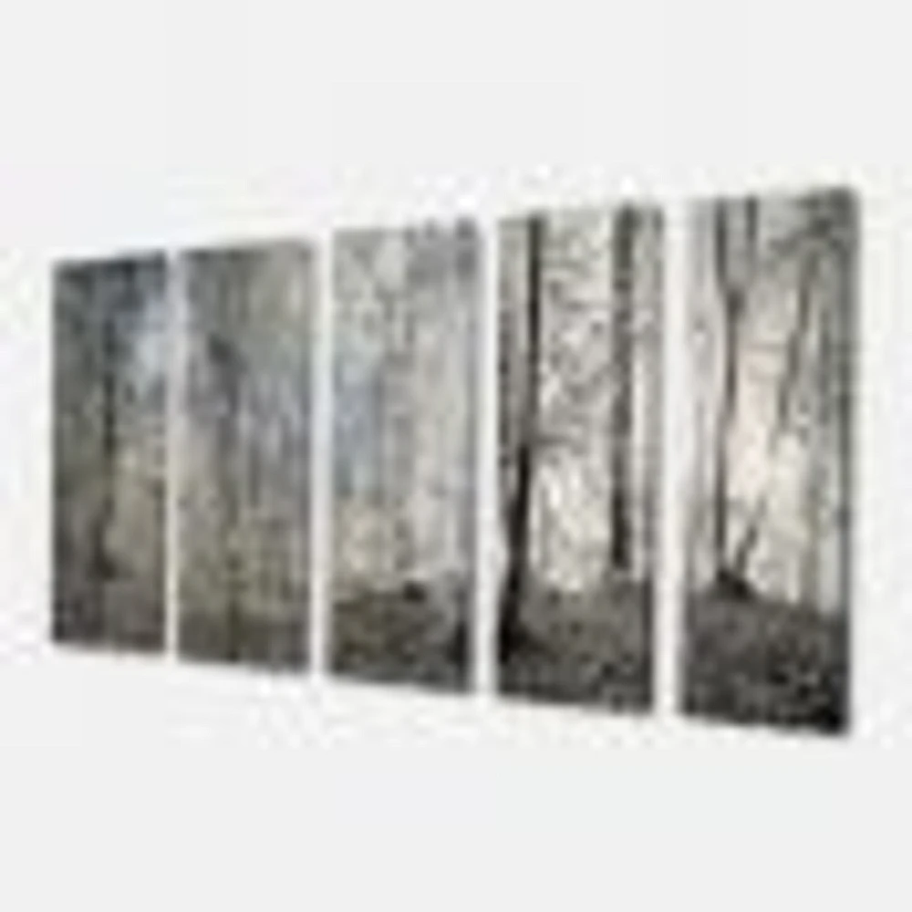 Dark Morning the Forest 4 Canvas Wall Art