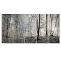 Dark Morning the Forest 4 Canvas Wall Art