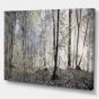 Dark Morning Forest Panorama  Canvas Wall Art Print