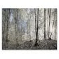 Dark Morning Forest Panorama  Canvas Wall Art Print