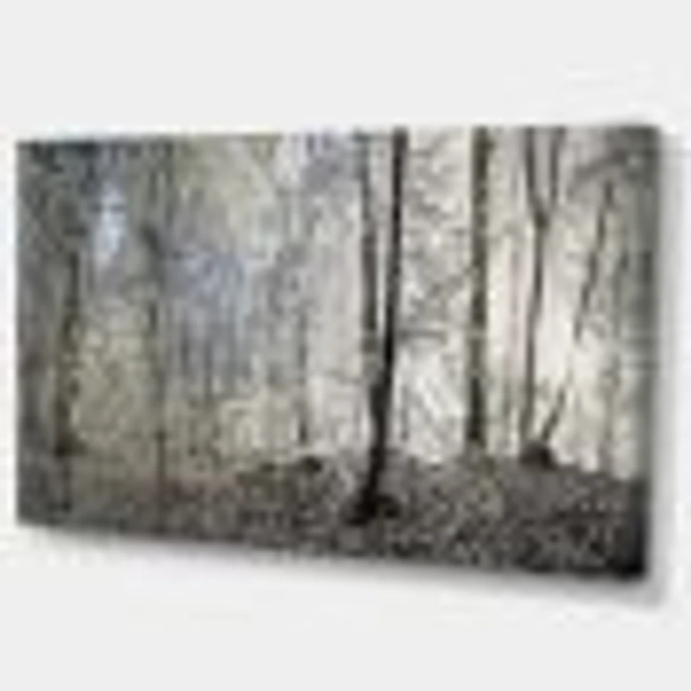 Dark Morning Forest Panorama  Canvas Wall Art Print