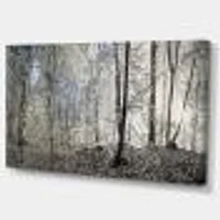 Dark Morning Forest Panorama  Canvas Wall Art Print