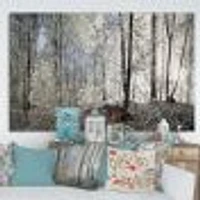 Dark Morning Forest Panorama  Canvas Wall Art Print