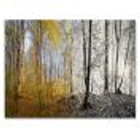 Toile imprimée « Morning Forest Panorama