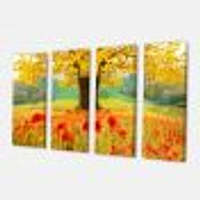 Beautiful Autumn Yellow Tree  Canvas Wall Art