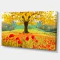 Beautiful Autumn Yellow Tree  Wall Art