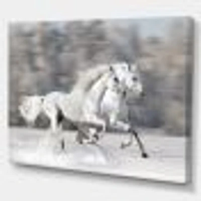 Toile « Two White Horse »