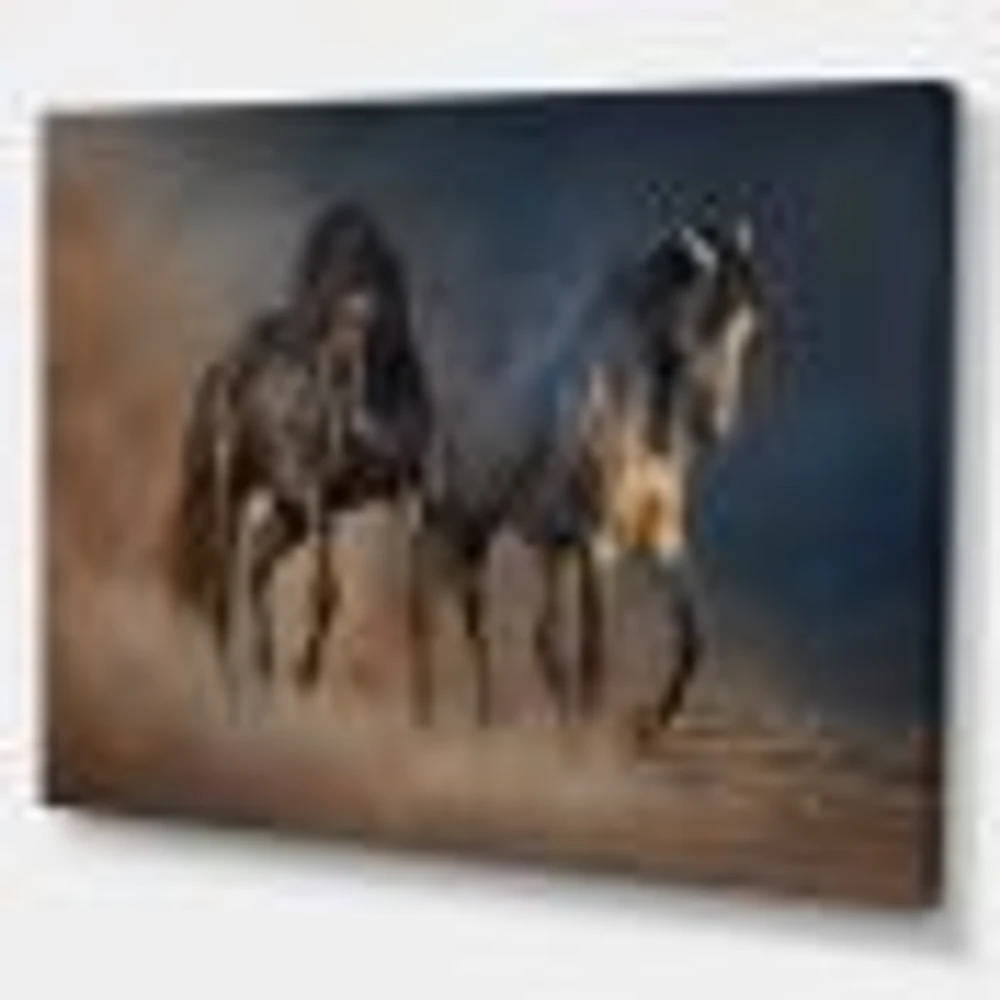 Black and white Horse run  Wall Art