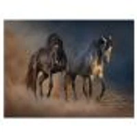 Black and white Horse run  Wall Art