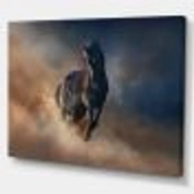 Black Stallion Horse  Canvas