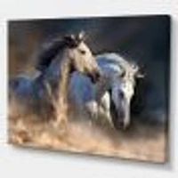 Horses run dust Wall Art