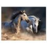 Horses run dust Wall Art