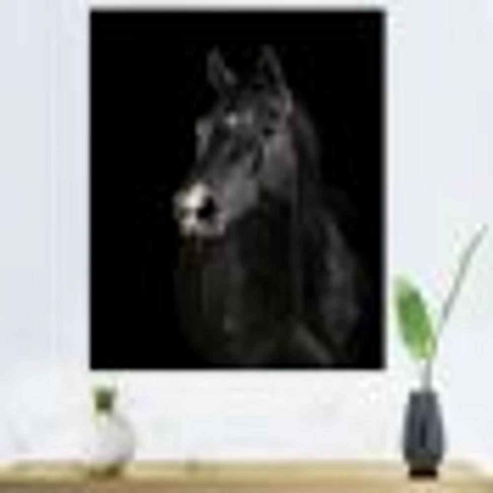 Toile « Black Horse darkness »