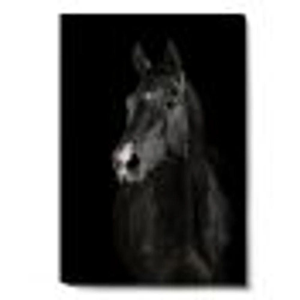 Toile « Black Horse darkness »