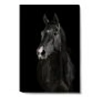 Toile « Black Horse darkness »