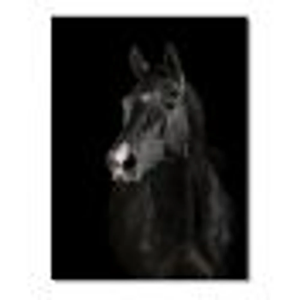 Toile « Black Horse darkness »