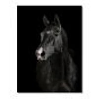 Toile « Black Horse darkness »