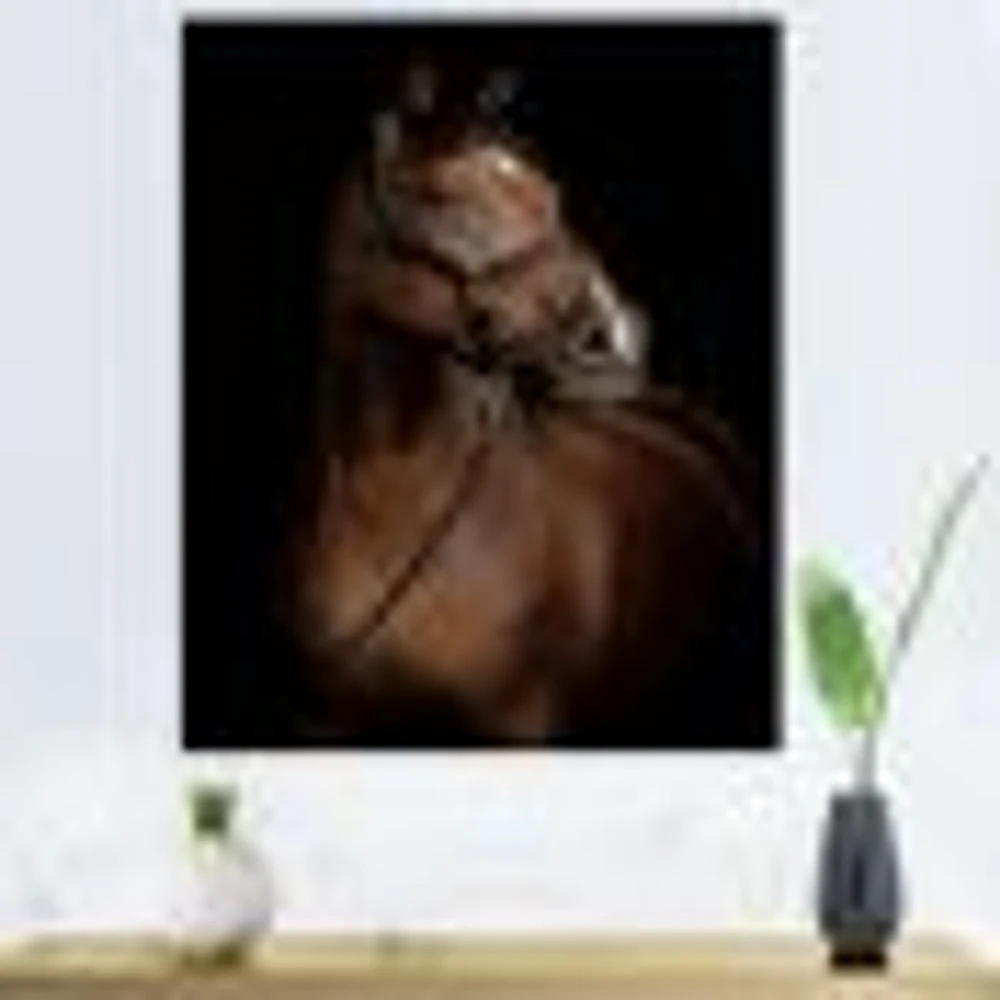 Horse Portrait  Canvas