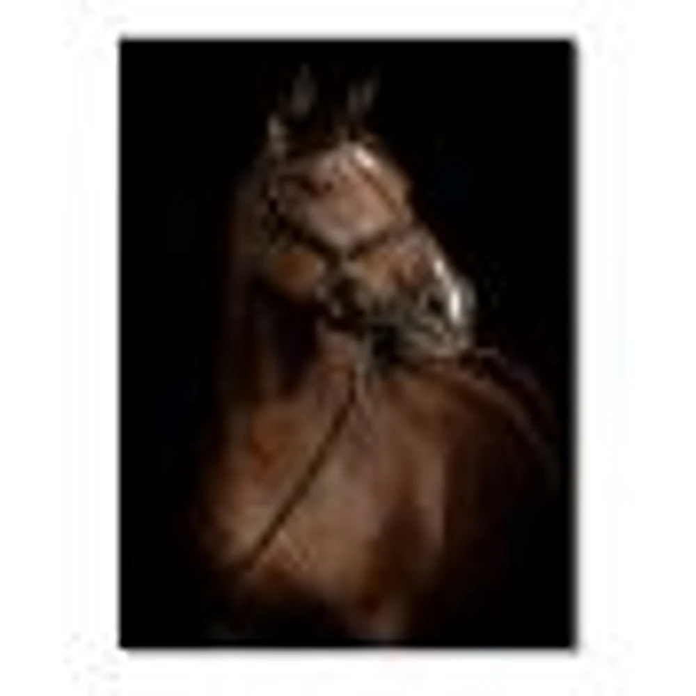 Horse Portrait  Canvas