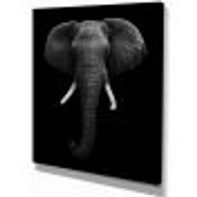 African Elephant  Wall Art