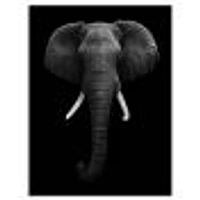 Toile « African Elephant »