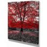 Toile « Red Tree Central Park »