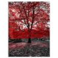 Toile « Red Tree Central Park »