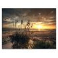 Grassy and Beach Sunset  Wall Art Canvas