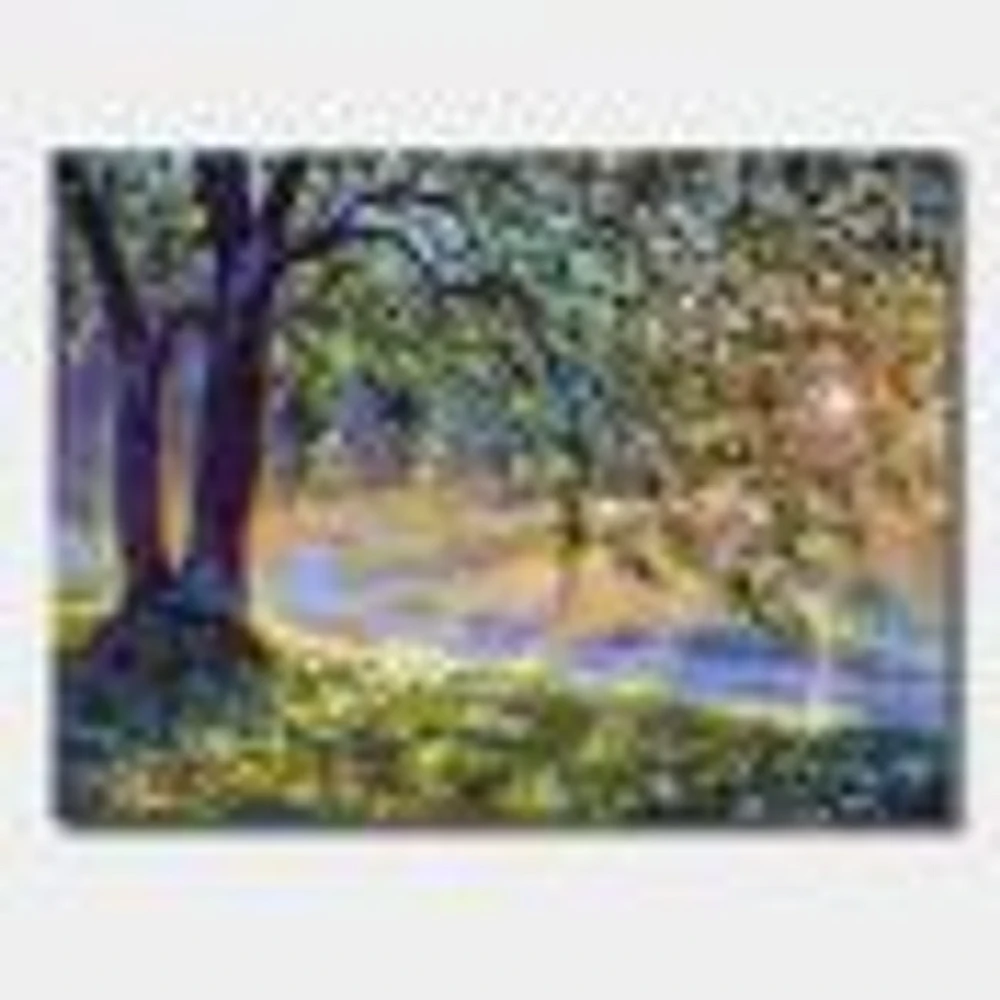 Tree by River First Rays of Afternoon Sun  Wall Art