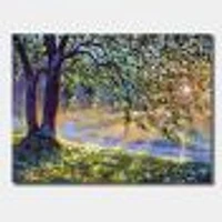 Tree by River First Rays of Afternoon Sun  Wall Art