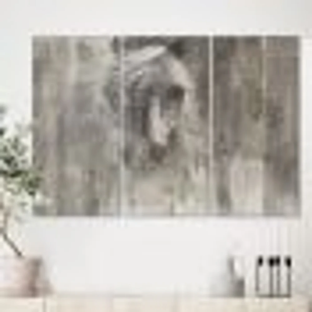 Farm HorseToile Canvas Wall Art Print