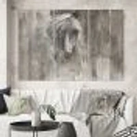 Farm HorseToile Canvas Wall Art Print