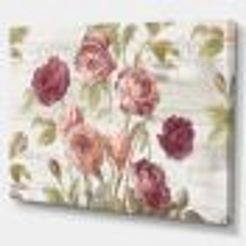 French Roses I  Canvas Wall Art