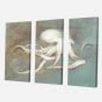 Octopus Treasures from the Sea Canvas Wall Art