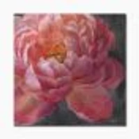 Vivid Pink Peonies I  Wall Art