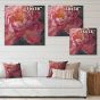 Vivid Pink Peonies I  Wall Art