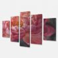 Vivid Pink Peonies I Canvas Wall Art Panels