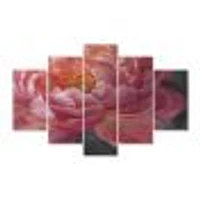 Vivid Pink Peonies I Canvas Wall Art Panels