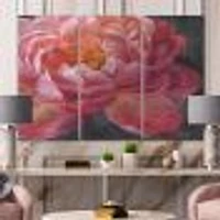 Vivid Pink Peonies I Canvas Wall Art