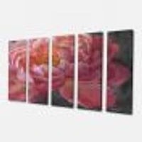 Vivid Pink Peonies I Canvas Wall Art Panels
